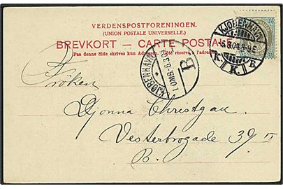 3 øre Tofarvet - skævt centreret - på lokalt brevkort i Kjøbenhavn d. 5.3.1904.
