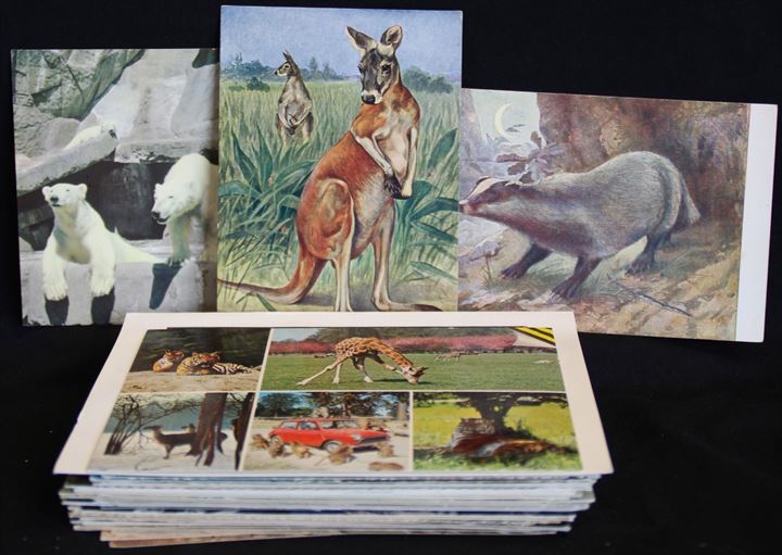 Dyr. 50 ældre og nyere postkort, nogle med frimærker.