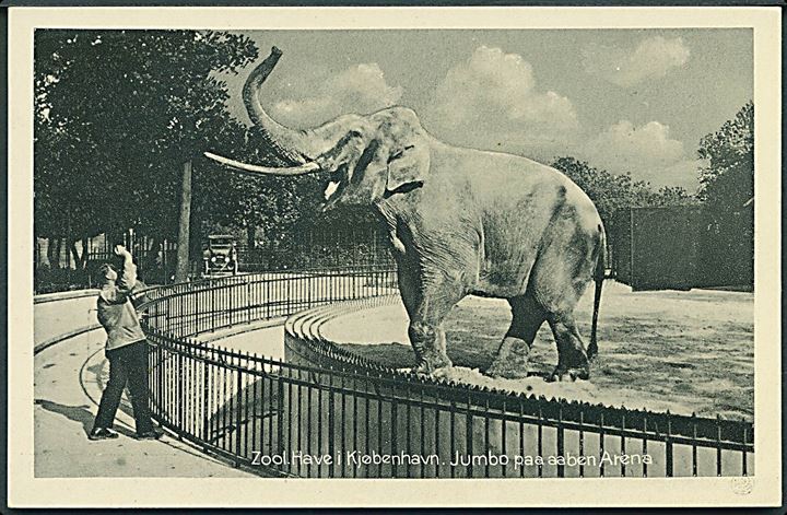 Zoologisk Have i København. Elefanten Jumbo på aaben Arena. Stenders no. 10. 