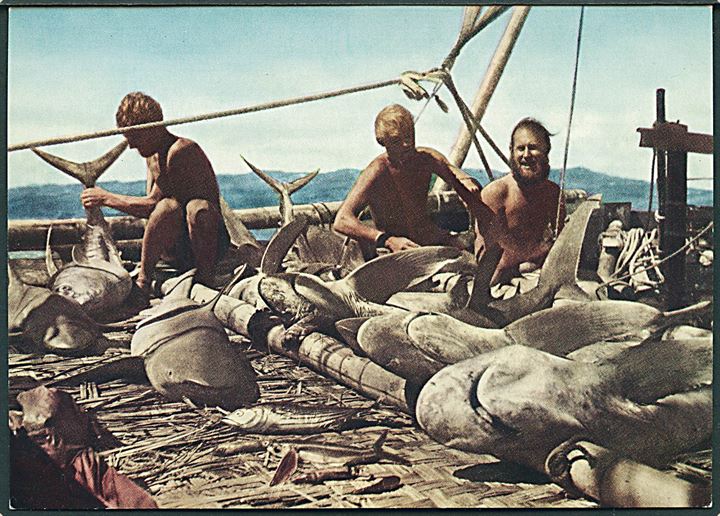 Kon - Tiki Expedition 1947. A day's catch. Mittet & Co. no. 670/13. 