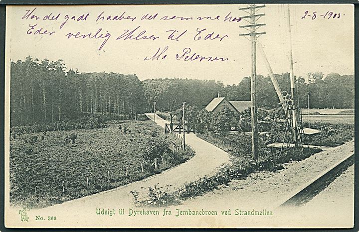 Jægersborg. Udsigt til Dyrehaven fra Jernbanebroen ved Strandmøllen. Peter Alstrups no. 369. 