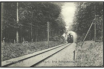 Lokomotiv paa vej gennem Kohaveskoven i Nykøbing F. Stenders no. 12444.