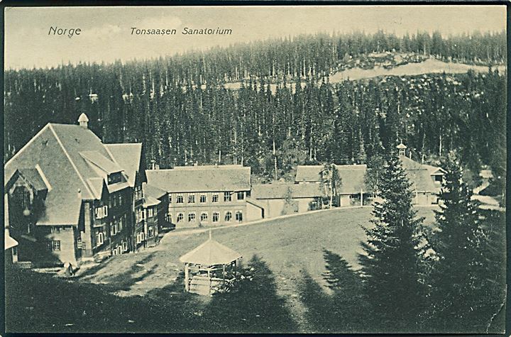 Norge, Tonsaasen Sanatorium. J.H.Küenholdt nr. 1556.