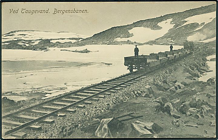 Bergensbanen ved Taugevand. O. Svanöe no. 427. Kvalitet 8