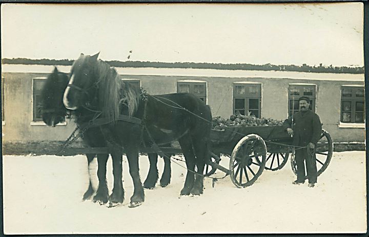 Hestetrukket vogn med roer ved hus. I sne. Sted ukendt. Fotokort u/no. 