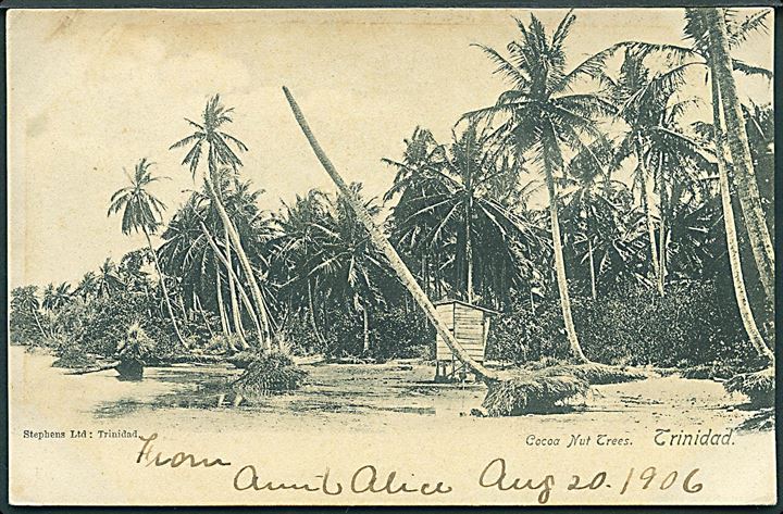 Trinidad. Cocoa Nut Trees. Frankeret med 1d stemplet Port of Spain d. 20.8.1906 til USA.