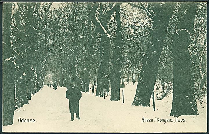 Odense. Alléen i Kongens Have med sne. Stenders no. 19088.  