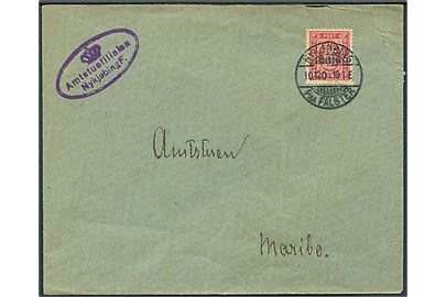 8 øre Tjenestemærke tk. 12 på brev stemplet Nykjøbing paa Falster d. 10.12.1901 til Maribo.
