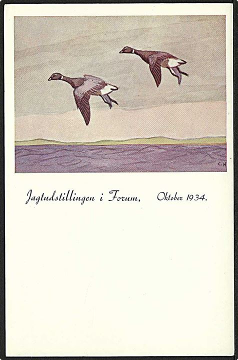 C.F. Høyrup: Knortegæs, fra Jagtudstilling i Forum 1934. V. Schæffer, Kolding, u/no.