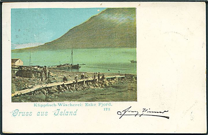5 aur tk. 14 på brevkort (Gruss aus Island. Klippfisch-Wäscherei: Eske Fjord no. 173) sendt som tryksag fra  Reykjavik d. 19.6.1890 til Nieder-Ohn, Mainz, Tyskland. 