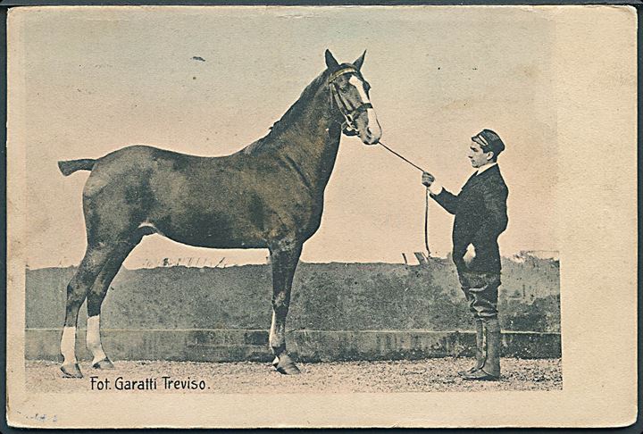 Fot. Garatti Treviso. Mand og hest. No. 2368. 