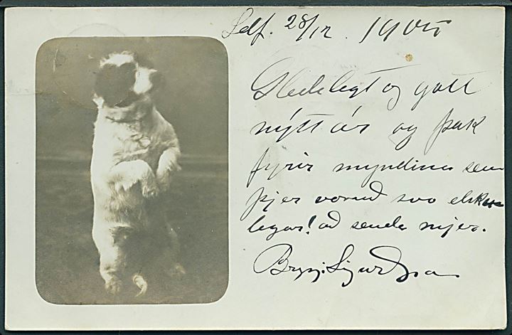 4 aur Chr. IX i parstykke på brevkort annulleret med svagt stempel i Seydisfjord d. 28.12.1905 til Kjøbenhavn, Danmark.
