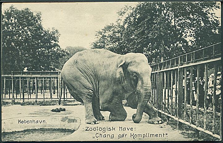 København. Zoologisk Have. Elefanten Chang gør kompliment. J. Aarby - Sørensen u/no. 