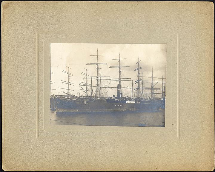 “Signe”, S/S, Dampskibsselskabet Torm. Stort foto dateret Hamburg 1920. 16x11½ cm. Kvalitet 7