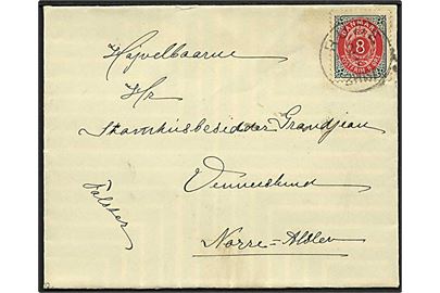 8 øre Tofarvet omv. ramme på brev annulleret med lapidar stempel Rude d. 23.1.1900 til Nr. Alslev.
