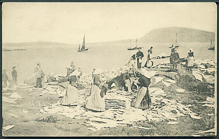 Færøerne, tørring af klipfisk. H. N. Jacobsen u/no. Kvalitet 7