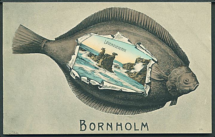 Bornholm, Fladfisk med prospekt af Løvehovederne. No. 586.  Kvalitet 8