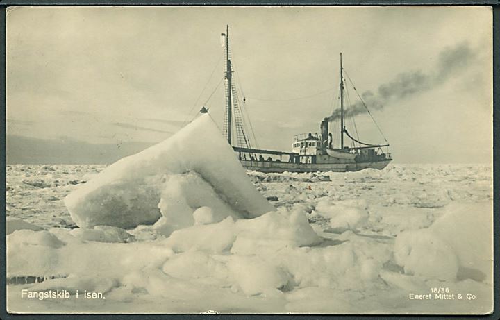 Svalbard. Fangstskude i isen. Mittet & Co. no. 18/36. Kvalitet 7