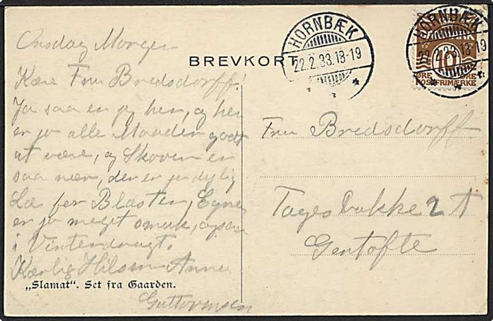 10 øre Bølgelinie på brevkort (Slamat Set fra Gaarden) annulleret med brotype Ic stempel Hornbæk d. 22.2.1933 til Gentofte.