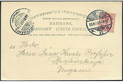 10 øre Våben på brevkort (Hilsen fra København, Raadhuset) fra Kjøbenhavn d. 25.8.1903 til Ungarn. 