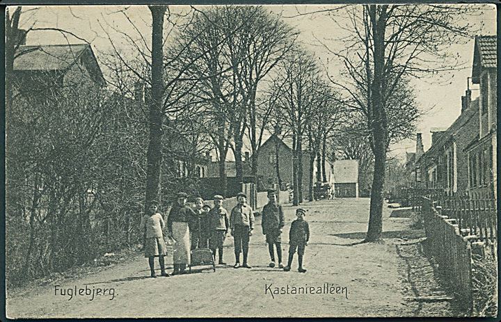 Fuglebjerg, Kastaniealléen. A. Petersen no. 18664. 
