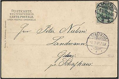 5 pfg. Germania på brevkort stemplet Apenrade d. 8.3.1903 til Fårhus. Ank.stemplet Schafhaus d. 9.3.1903.