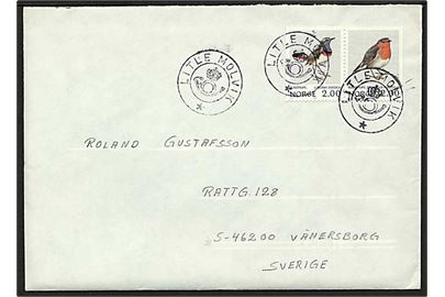 2 kr. Fugle i parstykke på brev annulleret med krone-posthorn-stempel LITLE MOLVIK til Vänersborg, Sverige.