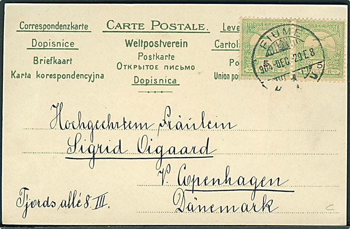 R. Kratki: Nytårsaften fejres. Serie 276. Frankeret med ungarsk 5 f. i parstykke fra Fiume d. 29.12.1904 til København, Danmark.