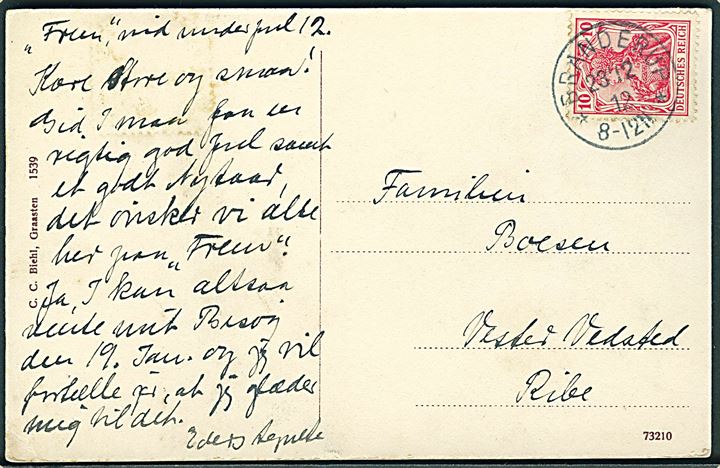 Jernfonden Julemærke 1912 på billedside af brevkort (Hilsen fra Branderup) frankeret med 10 pfg. Germania stemplet Branderup d. 23.12.1912 til Vester Vedsted pr. Ribe, Danmark.