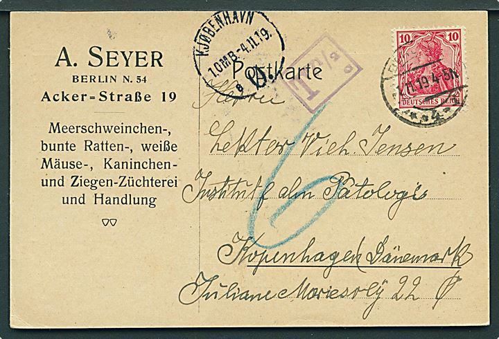 10 pfg. Germania på underfrankeret brevkort fra Berlin d. 1.11.1919 til København, Danmark. Tysk portostempel T 1/2 c. og udtakseret i 6 øre dansk porto.