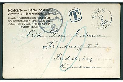 Ufrankeret brevkort fra Raus d. 25.6.1905 til Kjøbenhavn, Danmark. Påskrevet Lösen med T-stempel og udtakseret i 10 øre dansk porto.