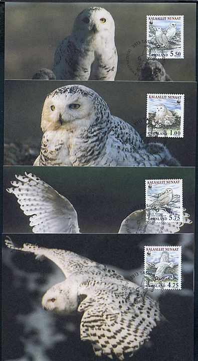 Grønland. 4 postkort med Sneugler. Bet 117/99. 118/99, 119/99 & 120/99. 