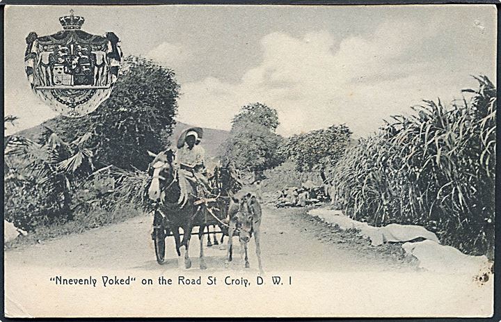D.V.I., St. Croix, Nnevenly Yoked on the Road. Lightbourn St. Croix no. 21.