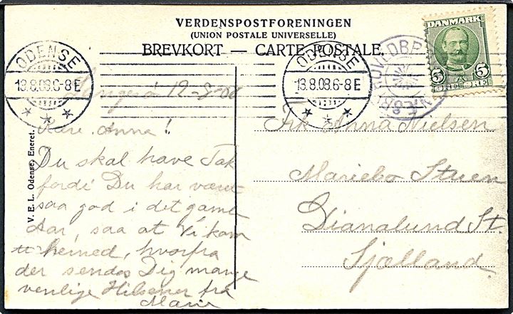 5 øre Fr. VIII på brevkort (Langesø Slot) annulleret med stjernestempel NÆSBYHOVEDBROBY og sidestemplet Odense d. 13.8.1908 til Dianalund.