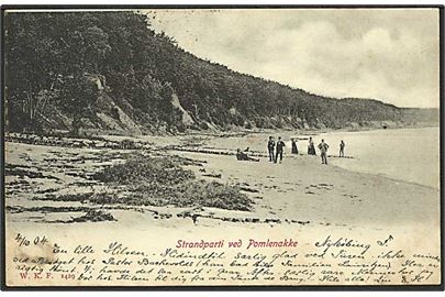Strandparti fra Pomlenakken. W.K.F. no. 1429.