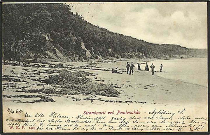 Strandparti fra Pomlenakken. W.K.F. no. 1429.