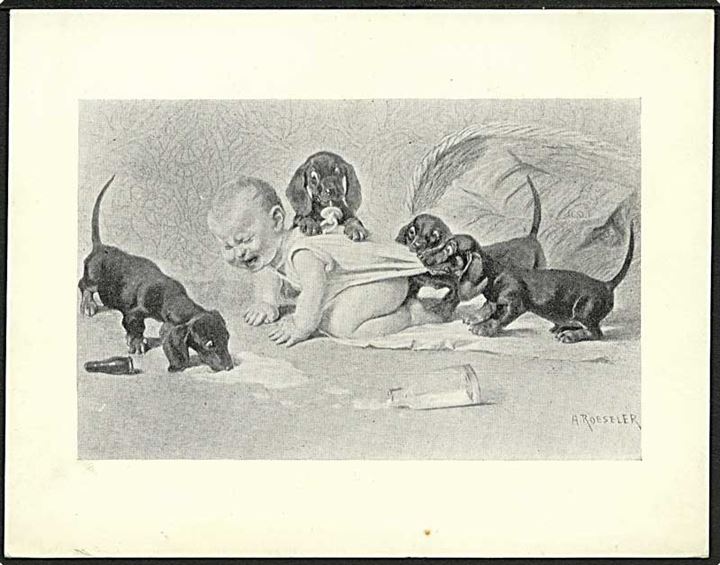 A. Roeseler: Drenge og gravhunde hvalpe. Kartonkort u/no. 12 x 9,5 cm.