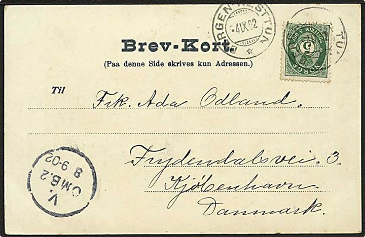 5 øre Posthorn på brevkort annulleret med bureaustempel Bergen - Nesttun d. 4.9.1902 til København, Danmark.