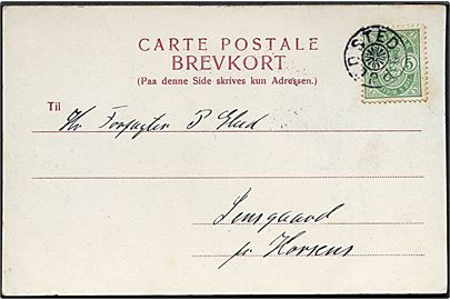 5 øre Våben på brevkort dateret d. 31.12.1905 annulleret med stjernestempel PJEDSTED til Horsens.