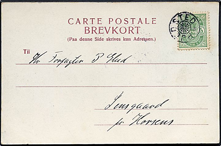 5 øre Våben på brevkort dateret d. 31.12.1905 annulleret med stjernestempel PJEDSTED til Horsens.