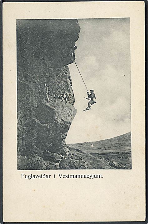 Island. Fuglaveiðar i Vestmannaeyjum. Finsen & Johnson no. 4213. 