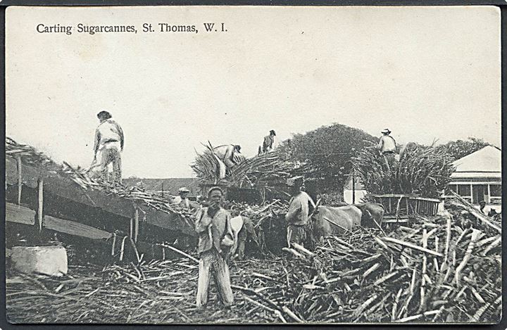 D.V.I., St. Thomas, Carting Sugarcannes. E. Fraas no. 37. Frankeret med 5 bit Fr. VIII annulleret med stumt stempel til København.