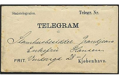 Statstelegrafen telegramkuvert med indhold dateret d. 8.2.1894 fra Nørre Alslev til Kjøbenhavn. På bagsiden ovalt stempel: Hovedtelegraf Stationen i Kjøbenhavn.