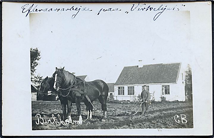 Birkholm, efterårsarbejde på Virkelyst. Fotokort u/no. Skrevet på øen Birkholm og stemplet Marstal 1911.  Kvalitet 7