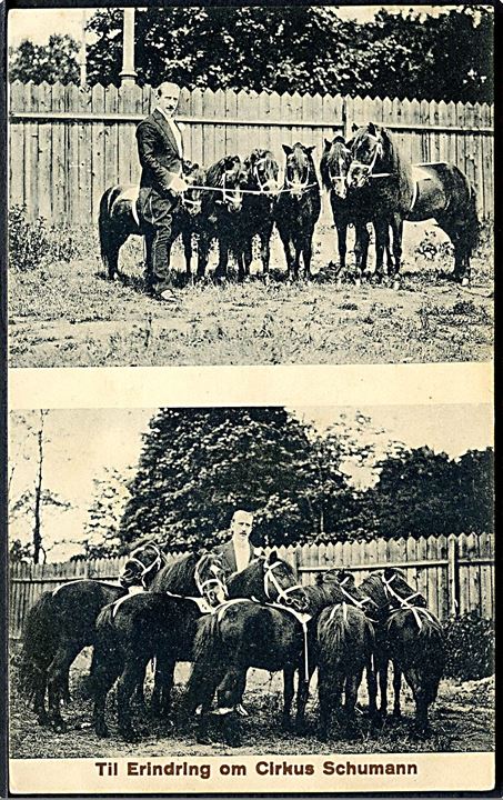 Cirkus. “Cirkus Schumann” med heste. E. Schmidt & Co. u/no. Kvalitet 8
