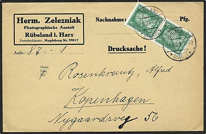 5 pfg. Schiller i parstykke på tryksag fra Rübeland d. 18.5.1929 til København, Danmark.