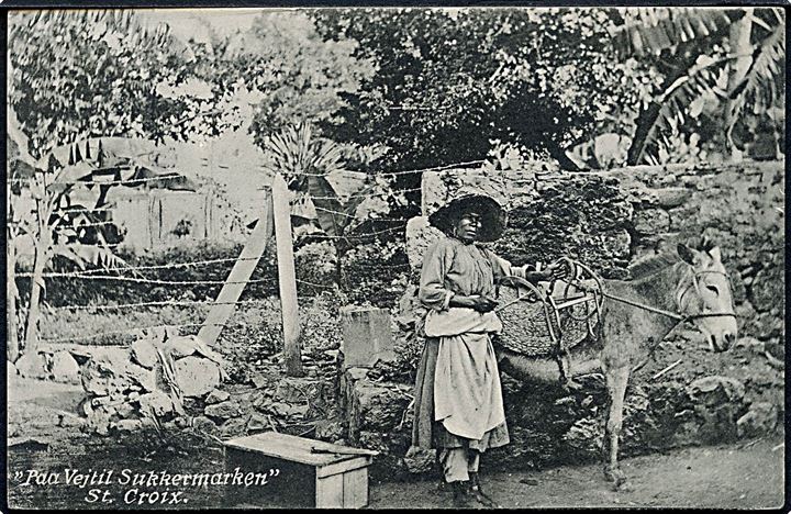 D.V.I., St. Croix, “Paa Vej til Sukkermarken”. E. Langkjær no. 1860. Anvendt i Danmark 1907. Kvalitet 8