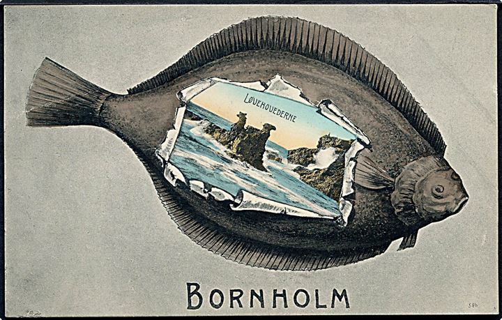 Bornholm, Fladfisk med prospekt af Løvehovederne. No. 586. Kvalitet 8