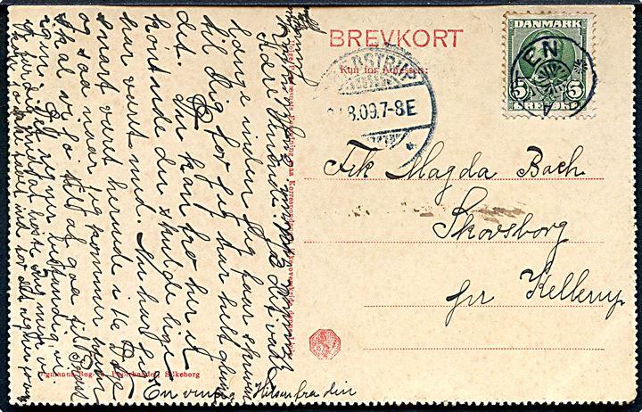 5 øre Fr. VIII på brevkort (Vandkuranstalten, Silkeborg) annulleret med stjernestempel SALTEN og sidestemplet Brædstrup d. x.9.1909 til Hellerup.