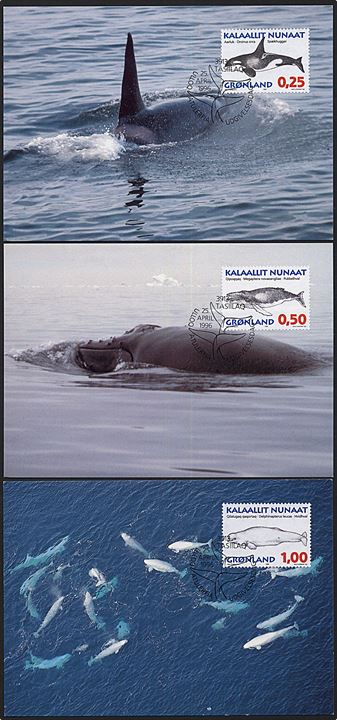 Grønland. 6 postkort med forskellige hvaler. Post Greenland, Bet. 73 - 78 / 96. 